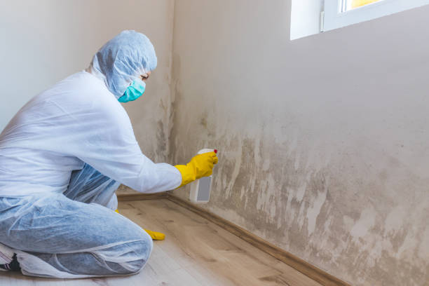 Crawl Space Mold Remediation treatment of floor joists in Roslyn