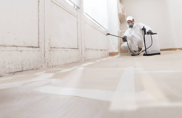 Black mold remediation team in Roslyn